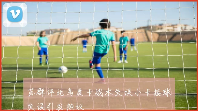 苏群评论乌度卡战术失误小卡接球失误引发热议
